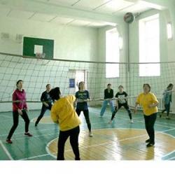 Турниры по волейболу и баскетболу Турниры по волейболу и баскетболу